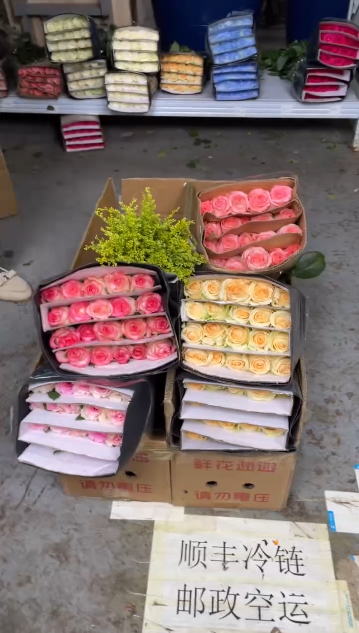 香槟2扎+爱莎1扎+洛神1扎+戴安娜1扎+黄莺