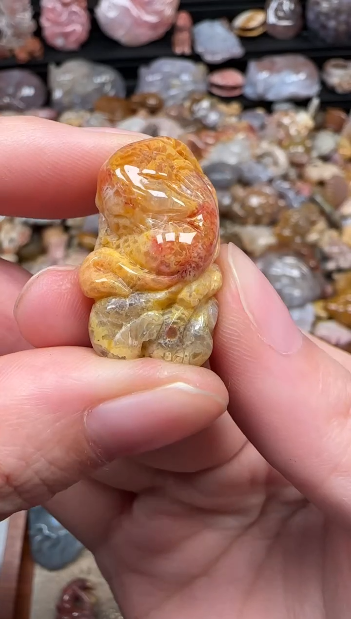 颈饰未镶嵌硅化珊瑚（珊瑚玉）154