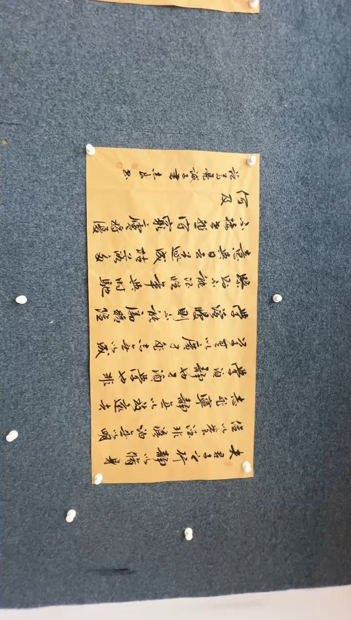 【闪购商品】国画纯手绘书法-书法袁志良-诫子书