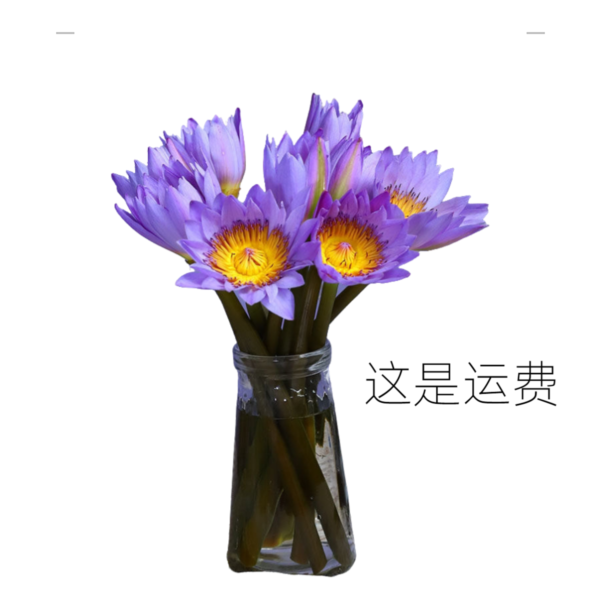 【一件补运费】任意两单升级顺丰