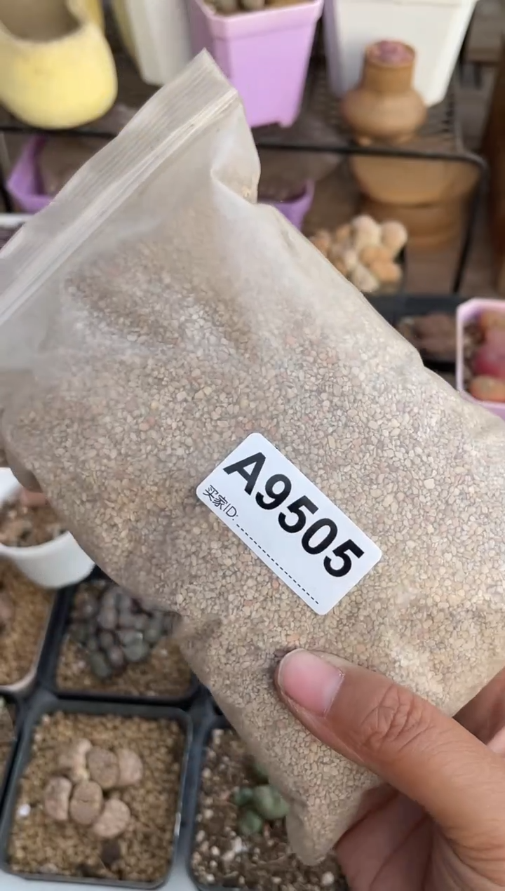 【闪购商品】9505直播一物一拍