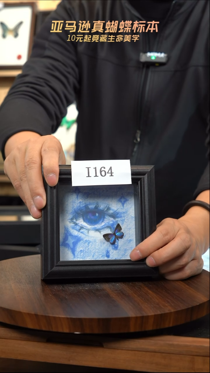 水**花微瑕蝴蝶标本摆件一口价i164