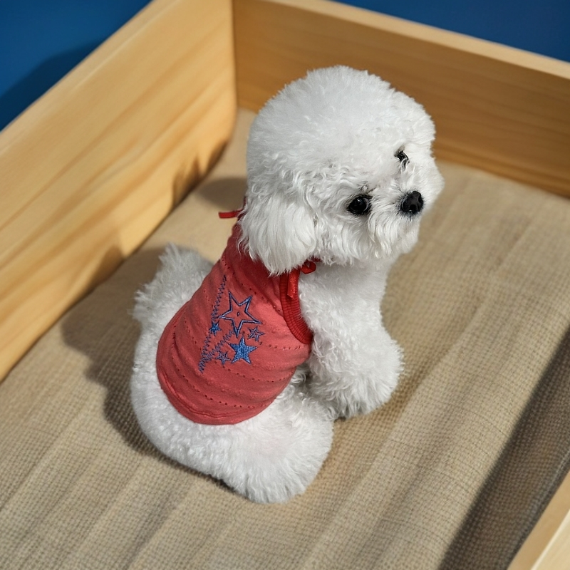 狗狗衣服直播间专用→No退No换~~介意慎拍！！！！