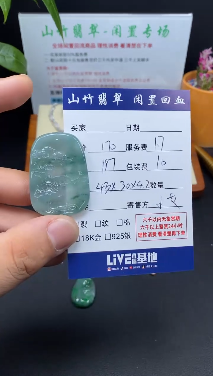 颈饰未镶嵌翡翠3001221