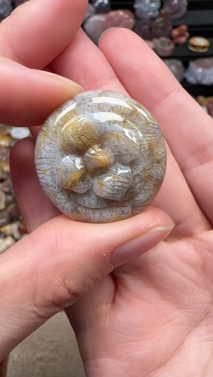 颈饰未镶嵌硅化珊瑚（珊瑚玉）034