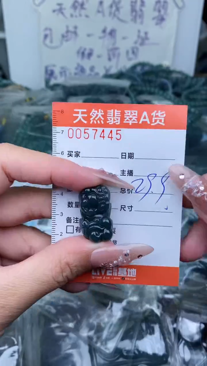 【闪购商品】翡翠颈饰未镶嵌··········