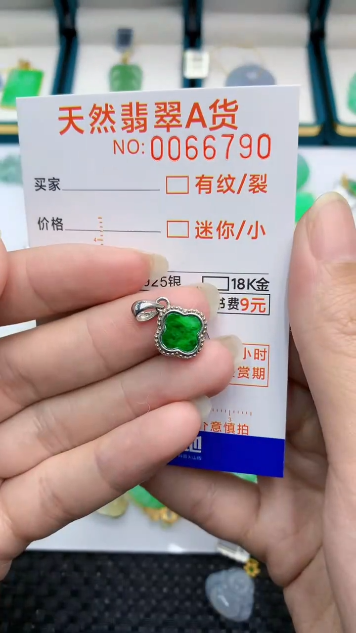 【闪购商品】翡翠颈饰银S925镶嵌            8