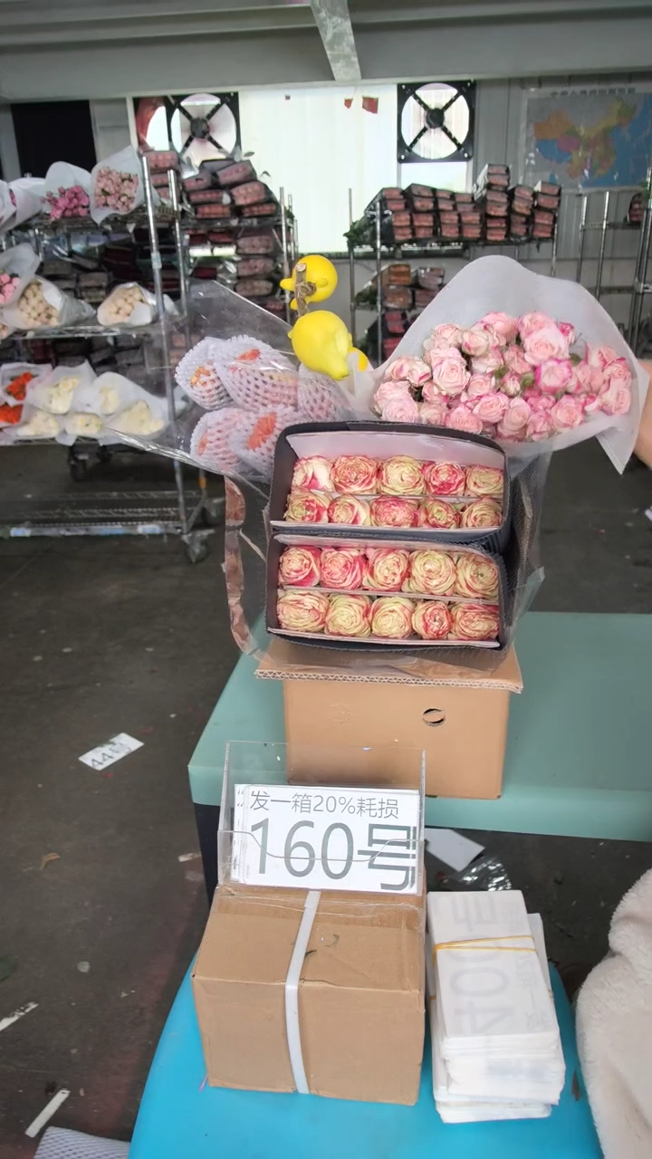 160号♥含20%耗损发一箱