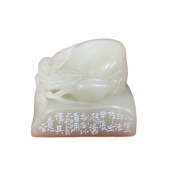 篆刻杨涛X46261彼此当年少（18）自用印