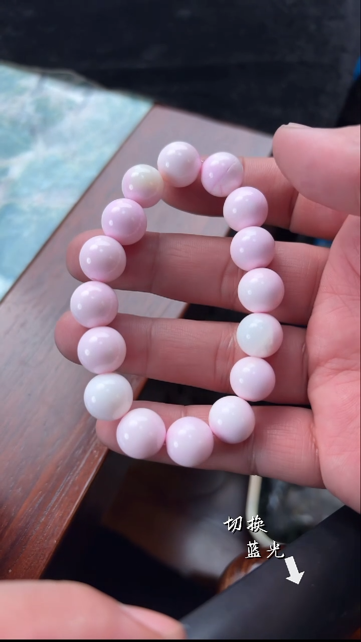 未镶嵌贝壳1多样性发一