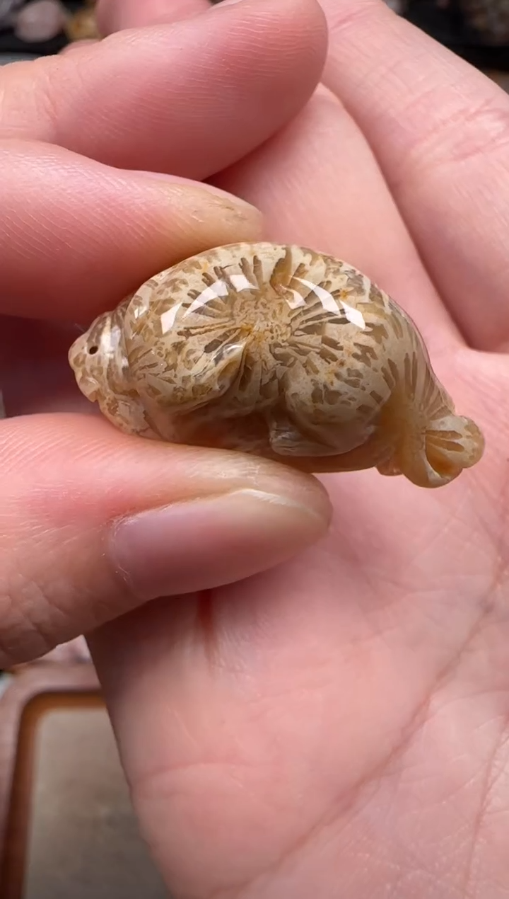 硅化珊瑚（珊瑚玉）未镶嵌颈饰186