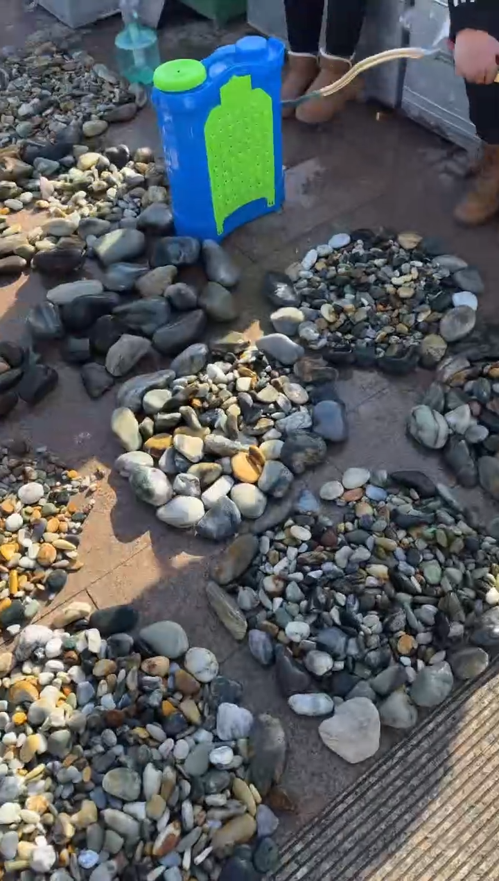 未镶嵌和田玉（糖玉）挂件和田玉