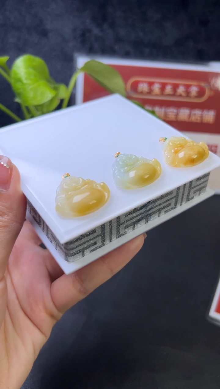 【闪购商品】翡翠颈饰未镶嵌356-24061501B多样性发一件