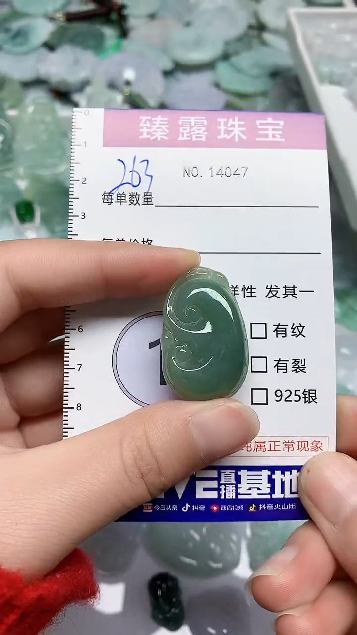 【闪购商品】翡翠颈饰未镶嵌臻露珠宝263