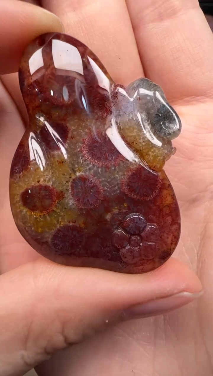 【闪购商品】硅化珊瑚（珊瑚玉）未镶嵌颈饰002