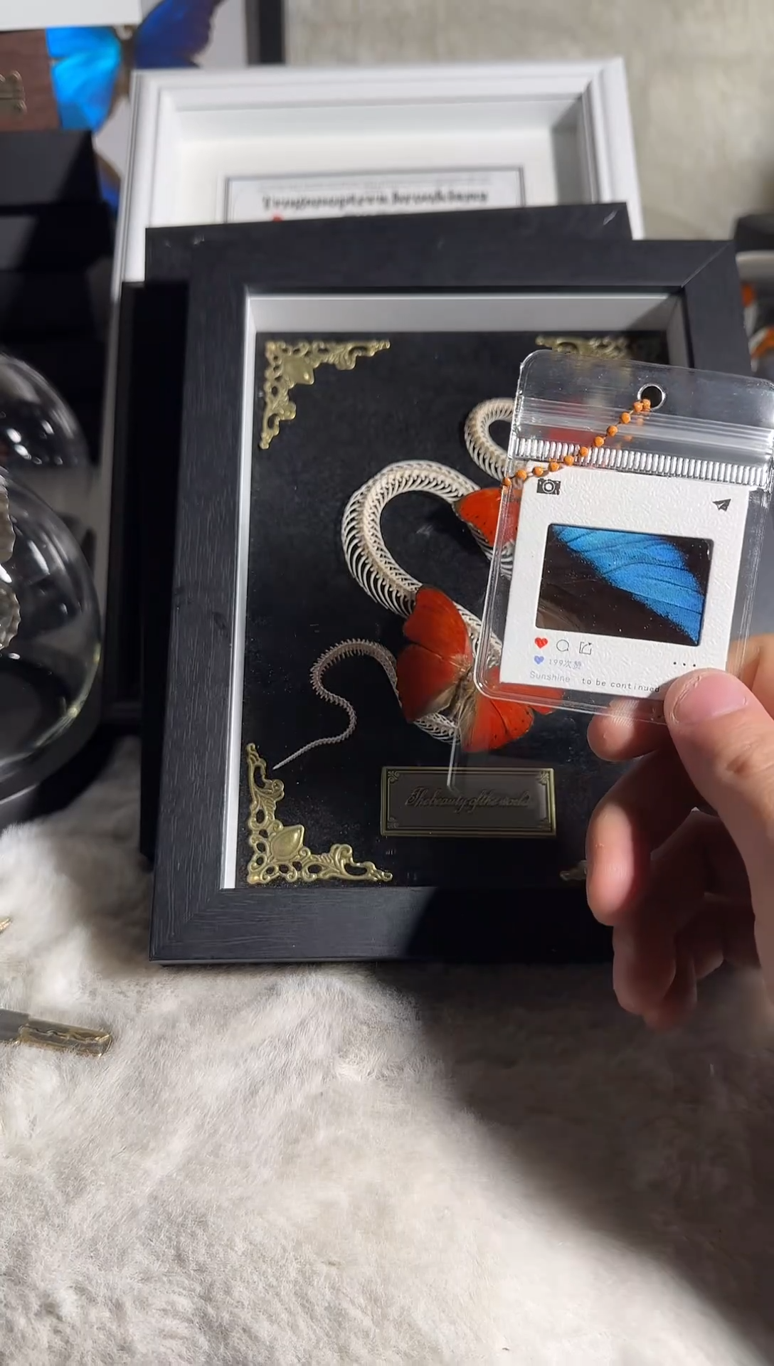 有机玻璃双列闪蝶钥匙扣