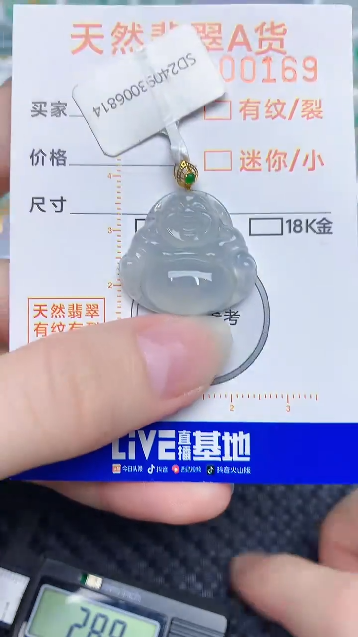 【闪购商品】翡翠颈饰18K金镶嵌435454534