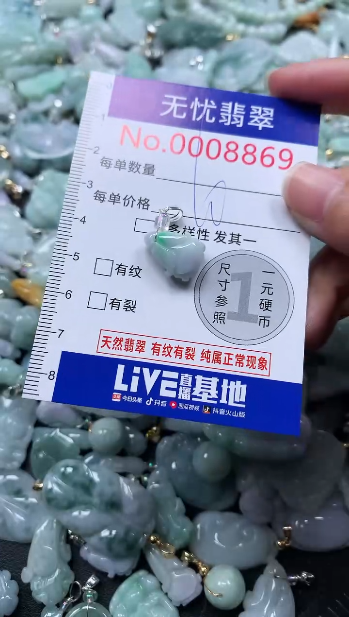 颈饰未镶嵌翡翠8869