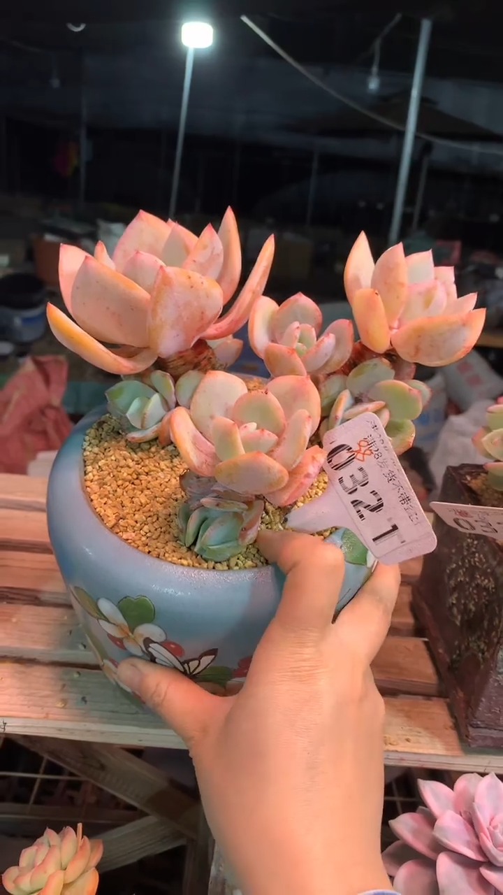 032TTT（满28发货）