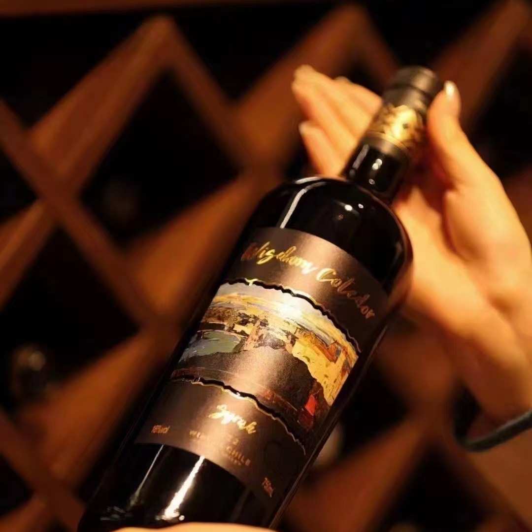 智利进口金堡干红葡萄酒 每瓶750毫升