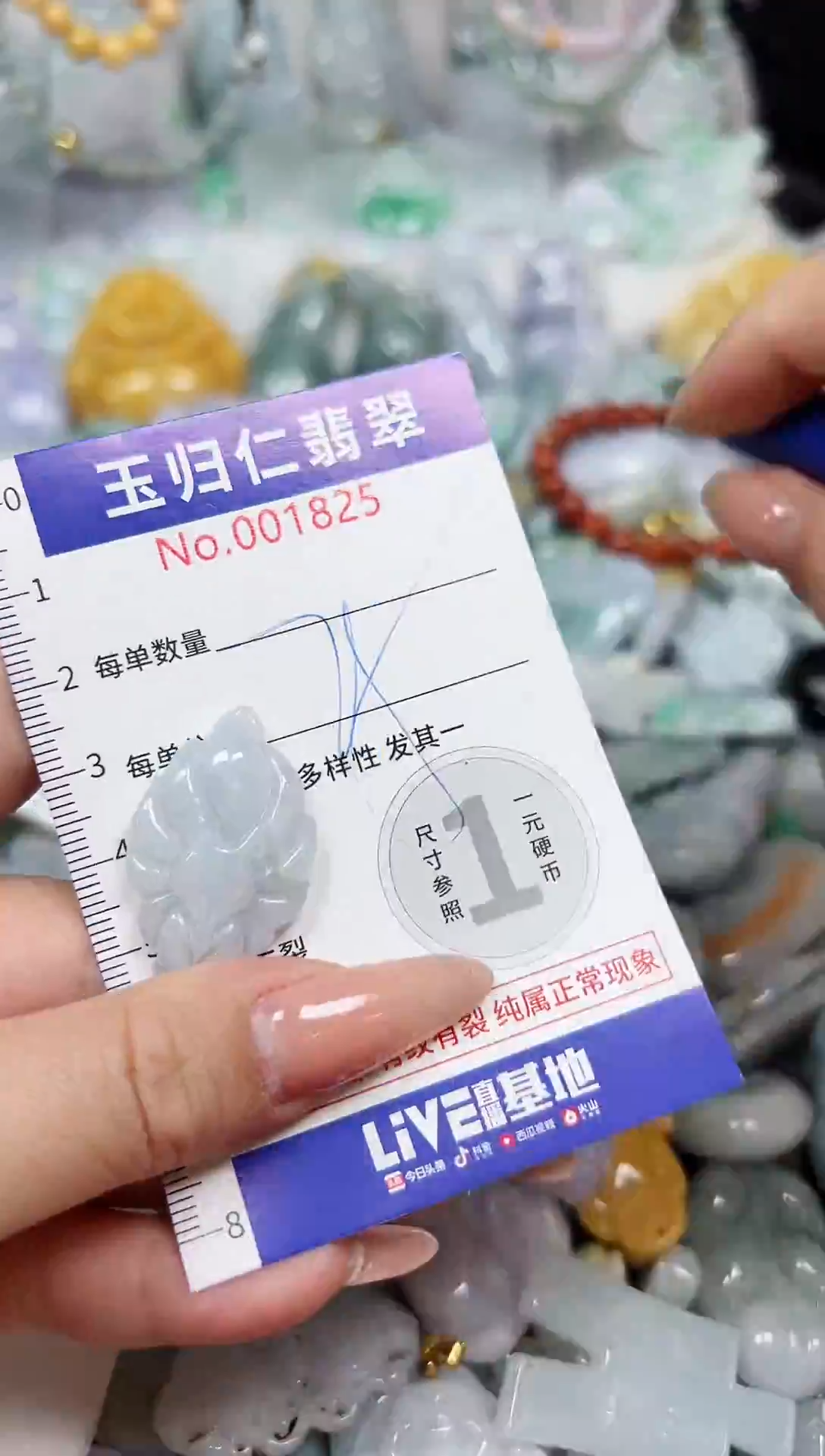 颈饰未镶嵌翡翠120