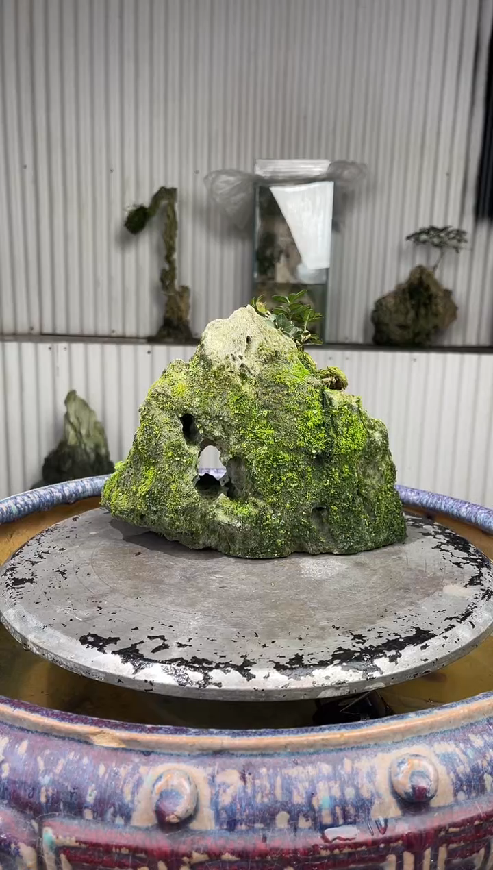 吴定石一物一拍专属