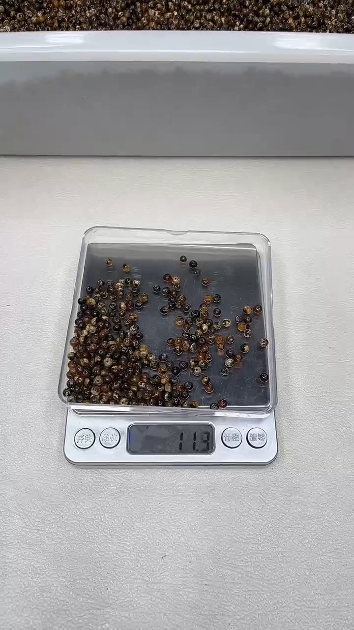 裸石琥珀未镶嵌抚顺琥珀散珠一份10克左右多样性发其一