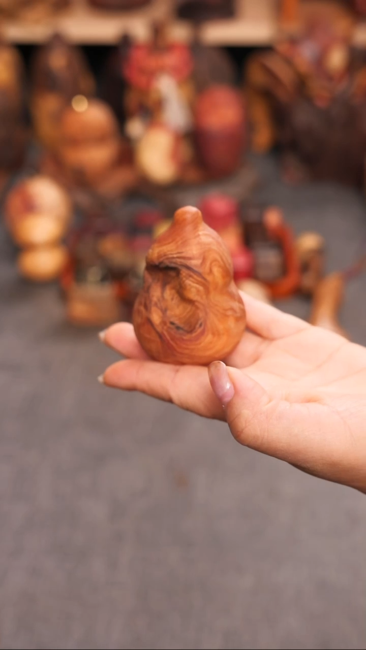 非洲檀香无事牌鬼柳尖叶木樨榄葫芦