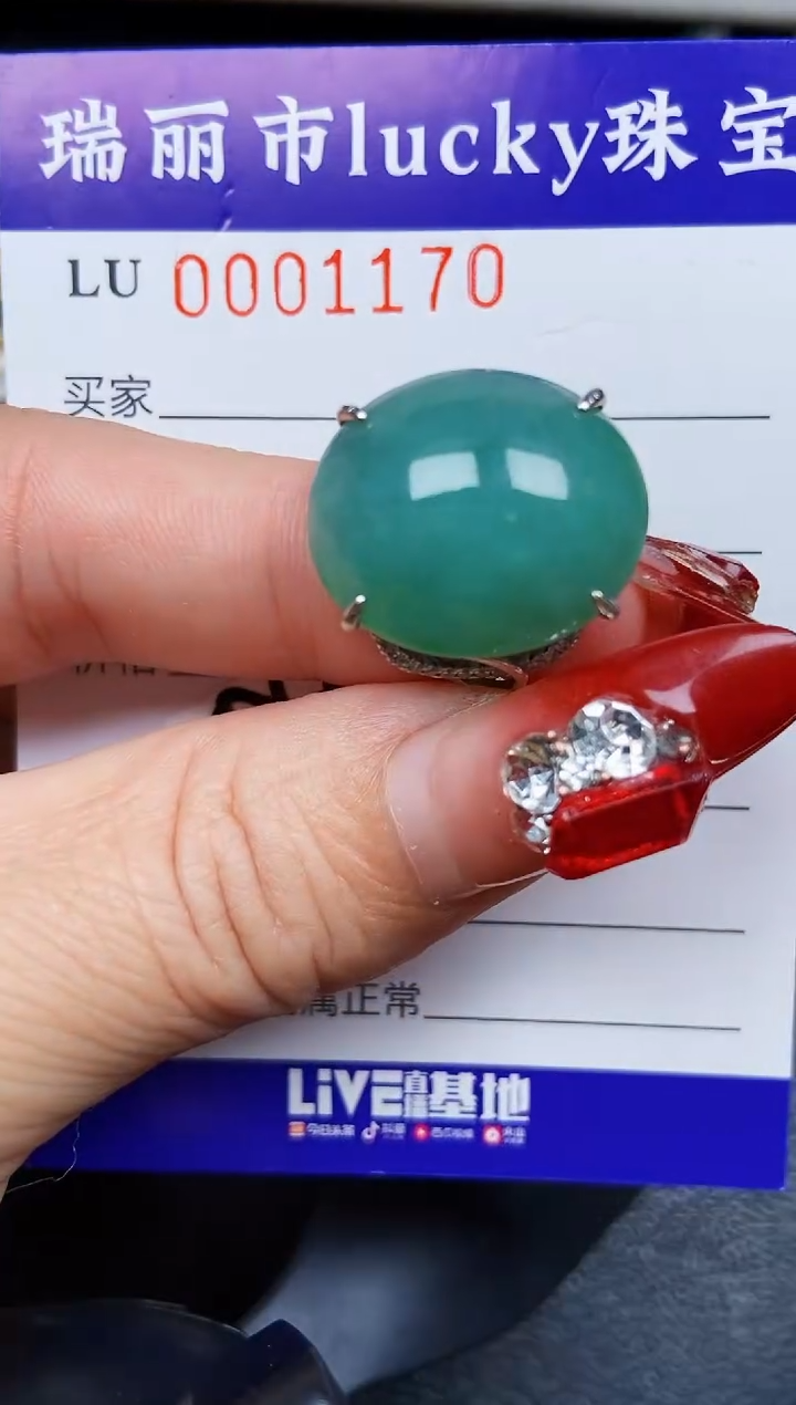 【闪购商品】翡翠颈饰银S925镶嵌1170