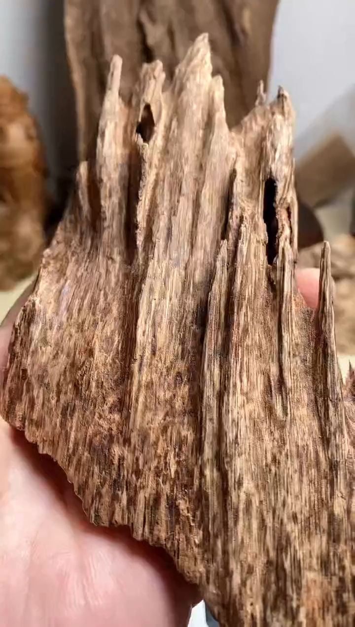 【闪购商品】沉香摆件芽庄沉香原料50克左右