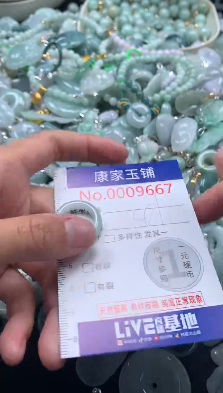 颈饰未镶嵌翡翠9667