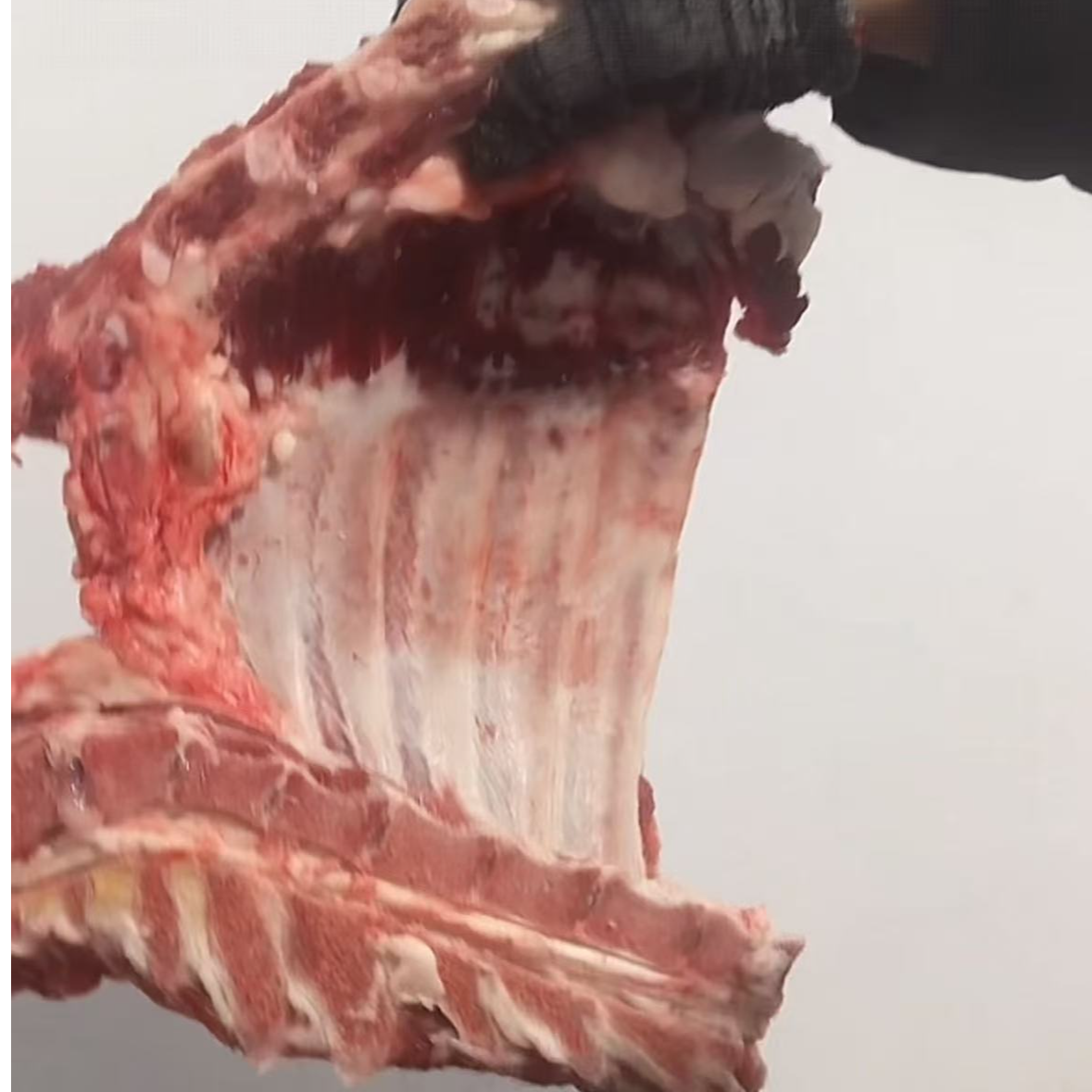 新鲜现杀农家土猪鹊山黑猪排骨包邮