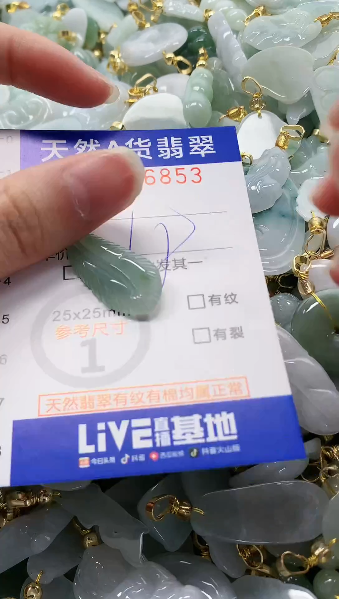 颈饰未镶嵌翡翠纯天然a货翡翠