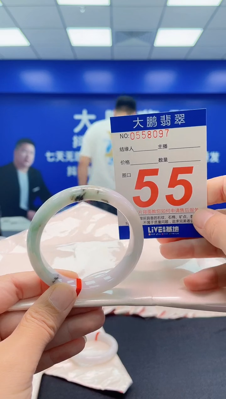 未镶嵌手镯翡翠AAAAAAAAA