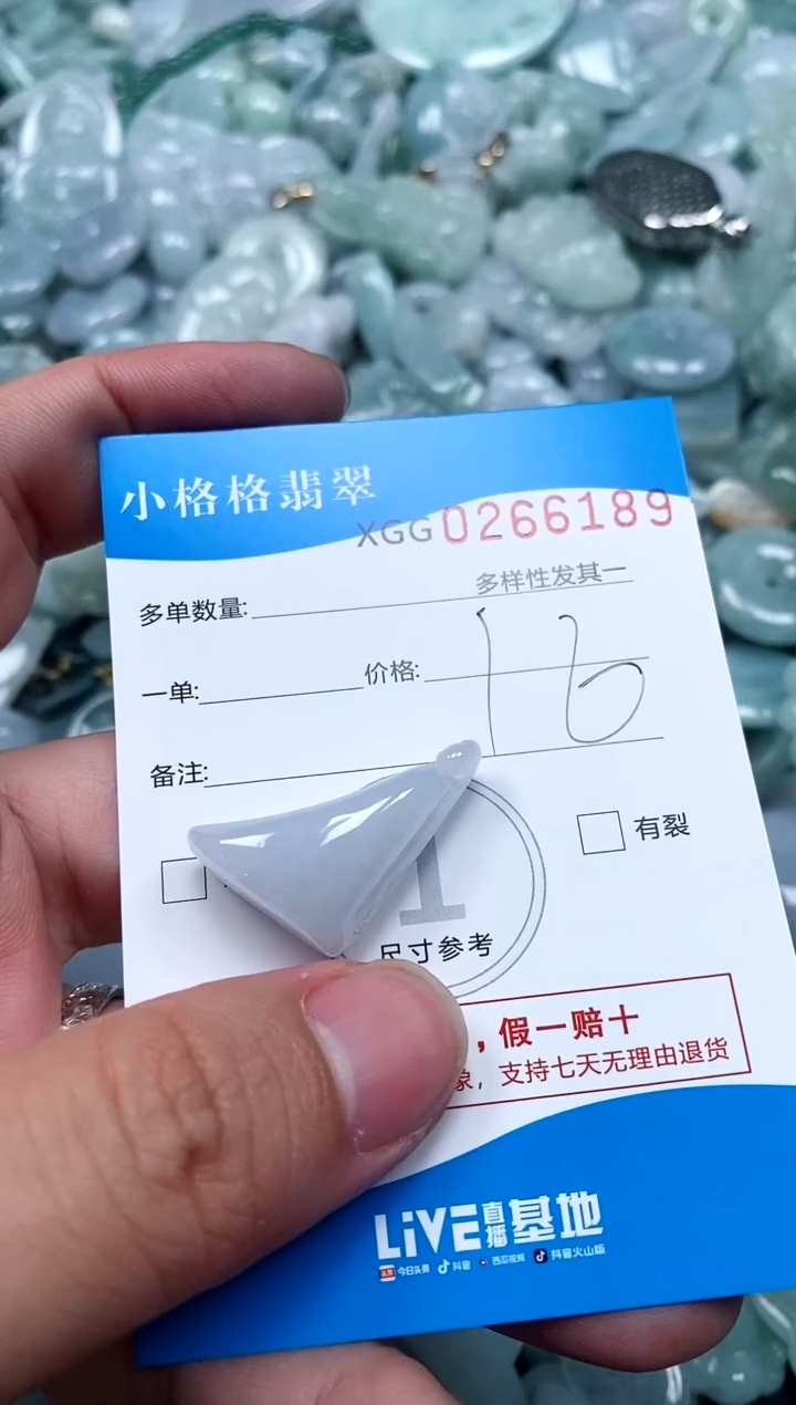 翡翠未镶嵌颈饰闪购商品0266189