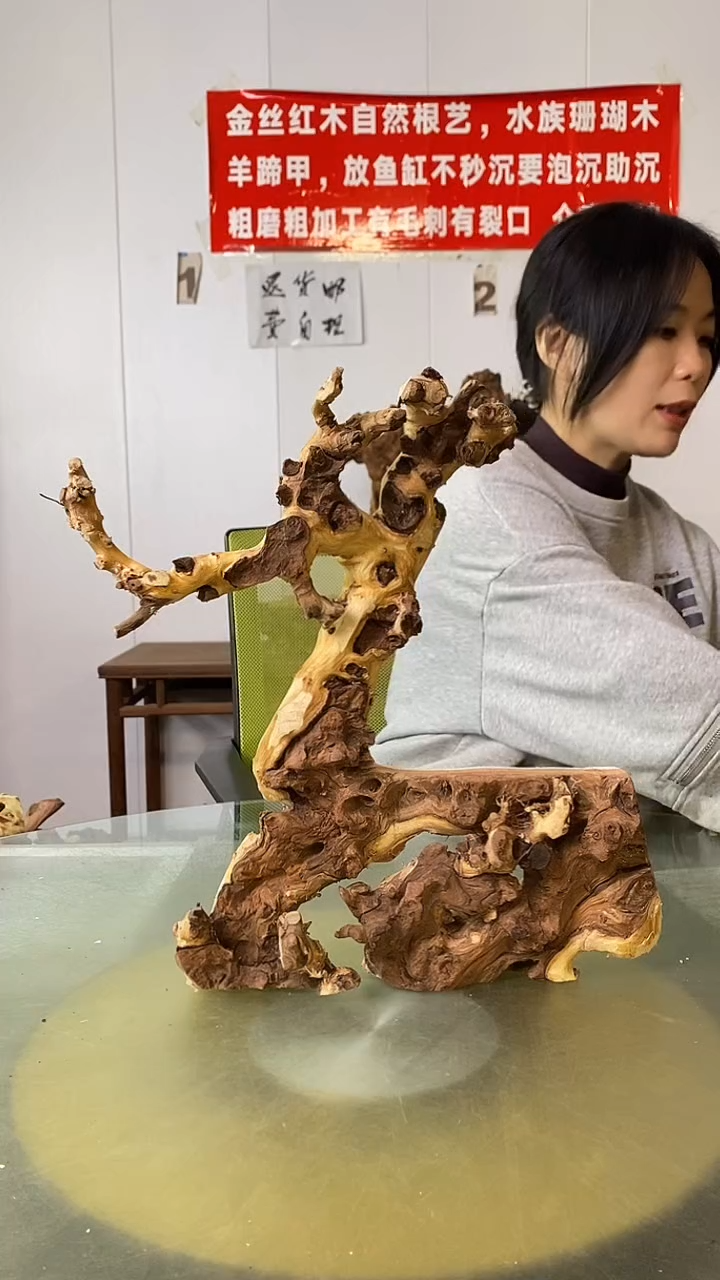 木齐**圣金丝红木  羊蹄甲