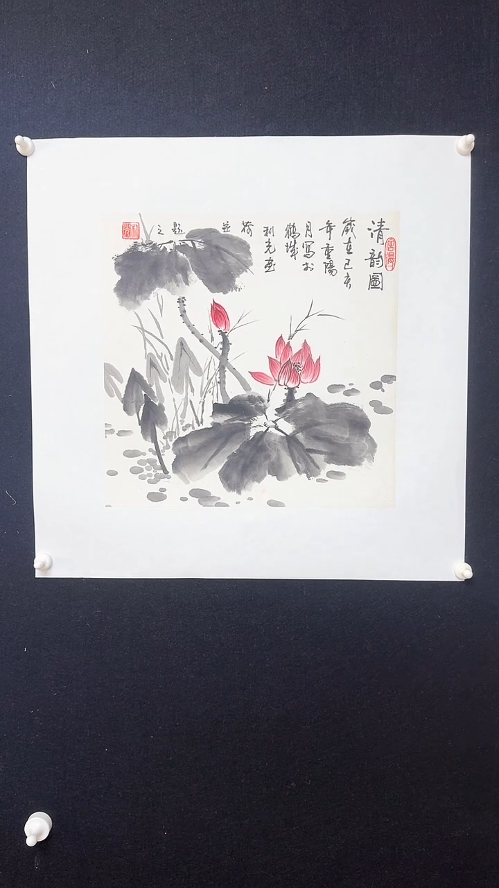 【闪购商品】国画斗方绘画墨荷