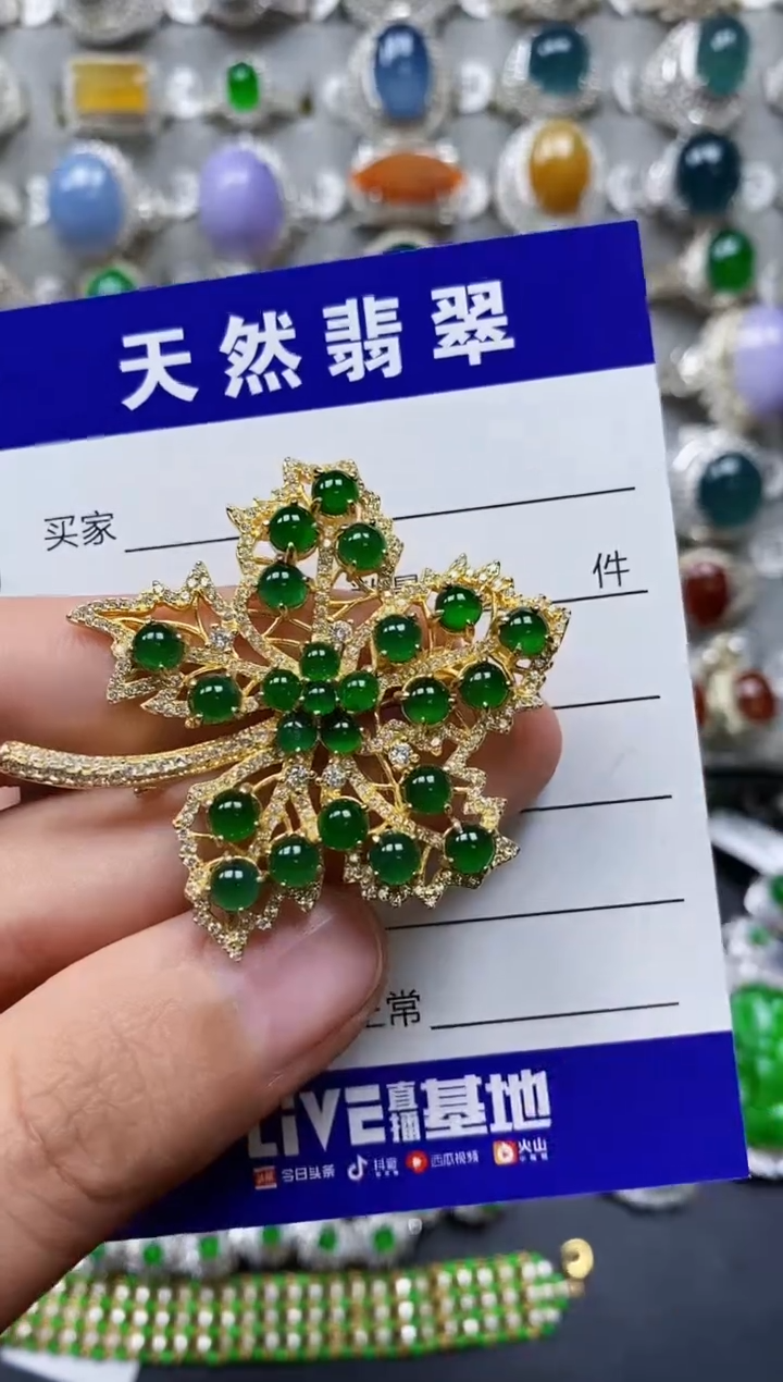 【闪购商品】翡翠颈饰银S925镶嵌0677