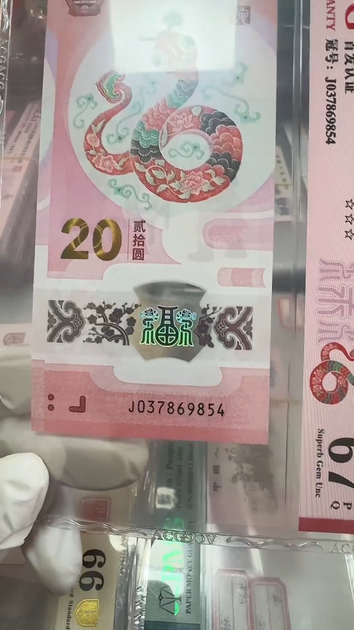 【闪购商品】塑料首日标67分 037869854