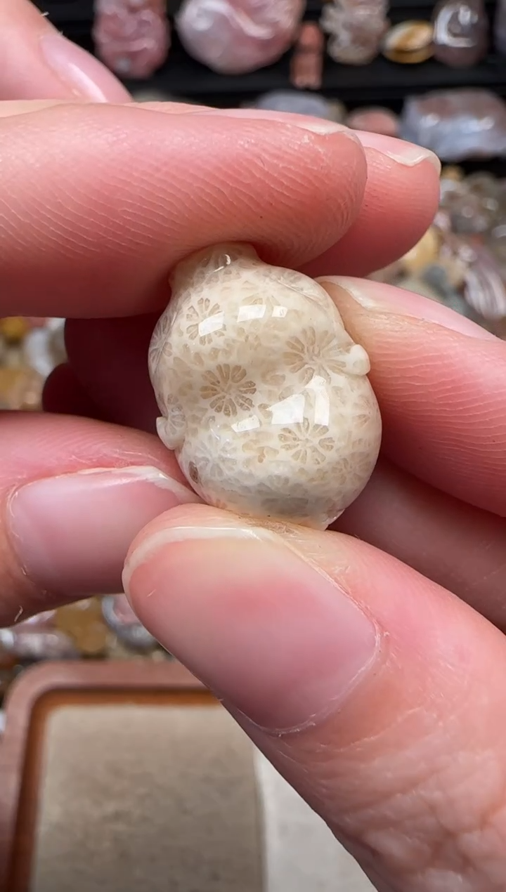 颈饰未镶嵌硅化珊瑚（珊瑚玉）577