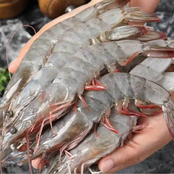 【青岛大虾4斤】海水大虾 肉质鲜嫩大个头海水大虾单只15~18cm4斤共50~60只海虾