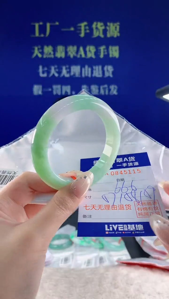 未镶嵌手镯翡翠15