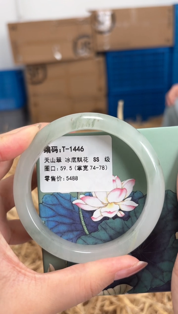 未镶嵌手镯石英质玉T-1446