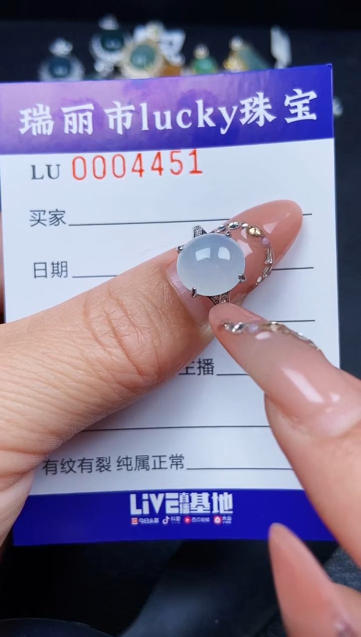 翡翠银S925镶嵌颈饰4451