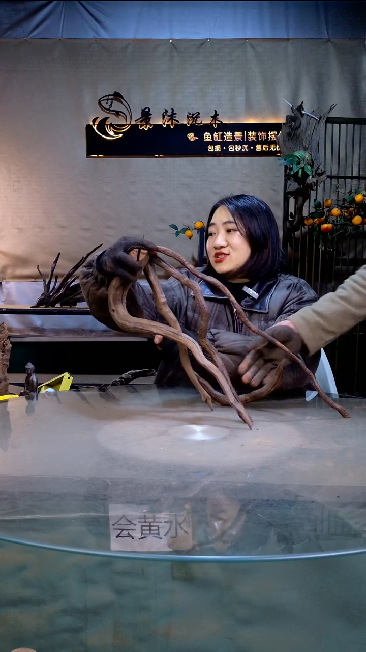 大*熊景沐沉木A995