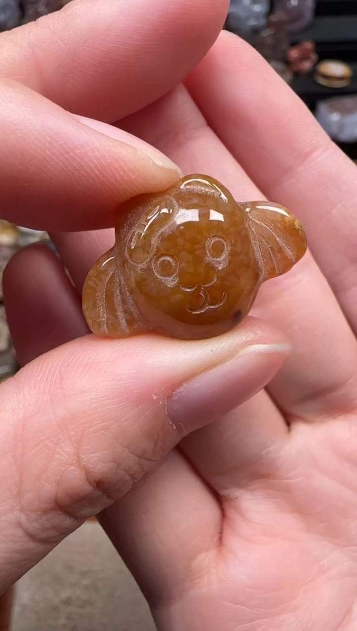 颈饰未镶嵌硅化珊瑚（珊瑚玉）026