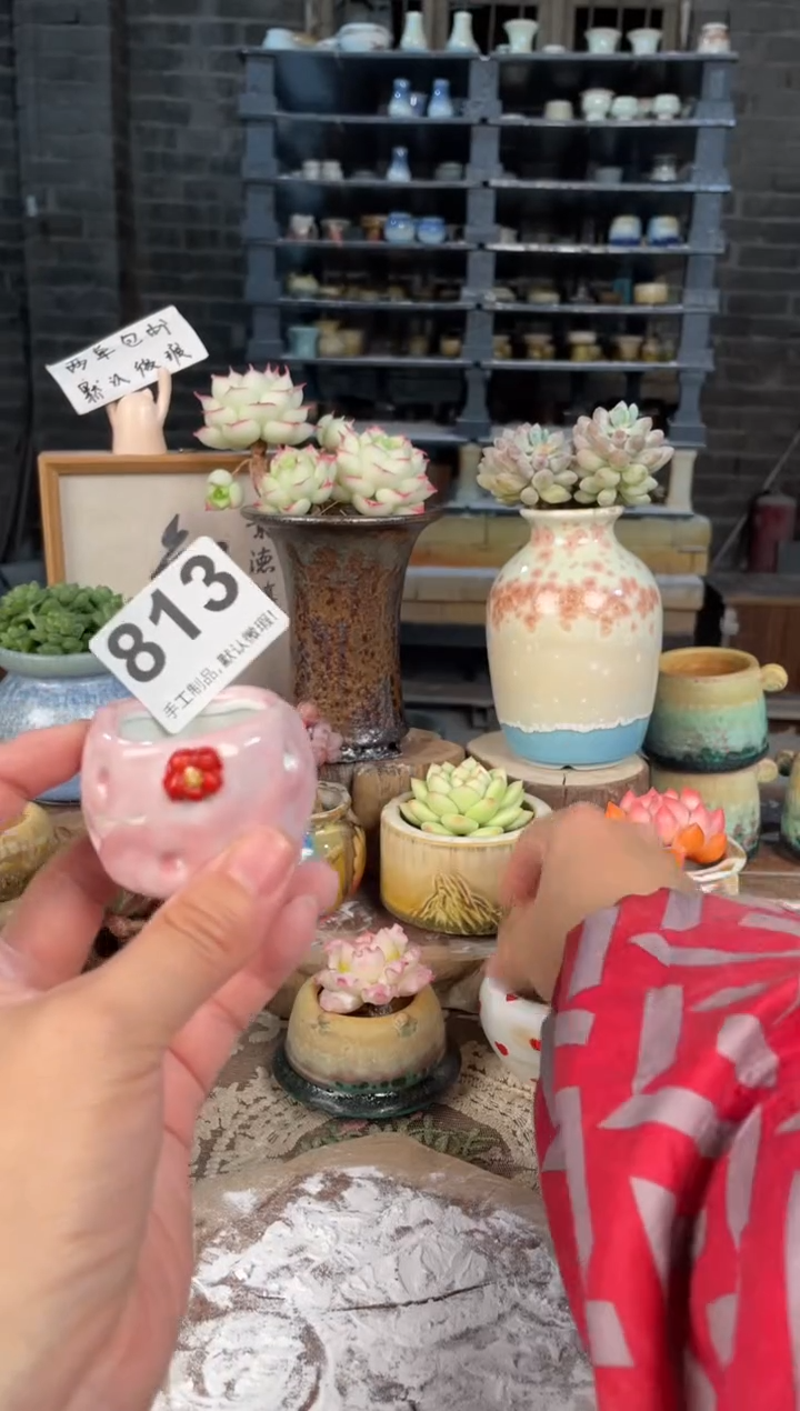 瓷片813福利知木小芳花盆直播编号