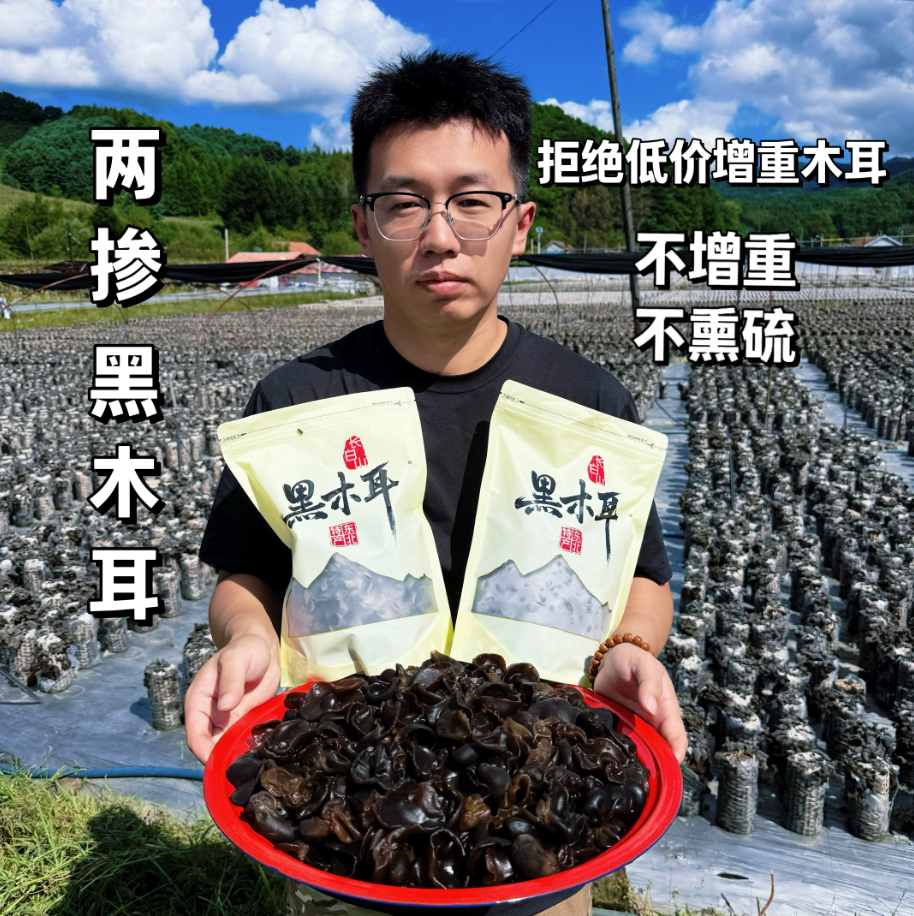 【东北黑木耳+小木耳两掺】长白山2025新头茬黑木耳