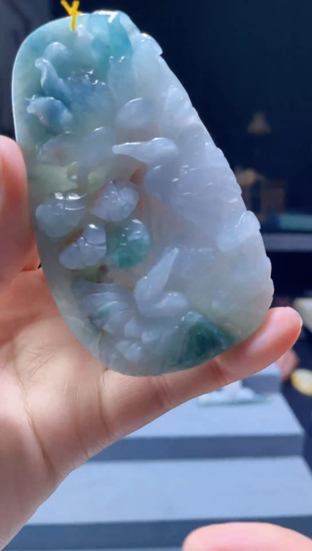 吊坠(赠链)未镶嵌翡翠翡翠