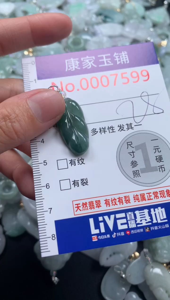 颈饰未镶嵌翡翠7599